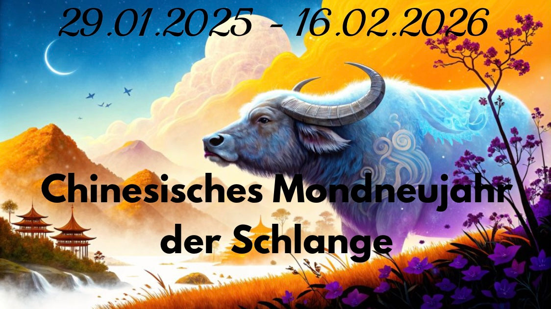 Chinese Lunar New Year of the Snake 29.01.2025 - 16.02.2026