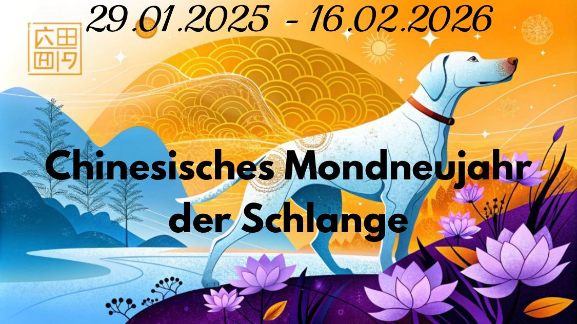 Chinese Lunar New Year of the Snake 29.01.2025 - 16.02.2026
