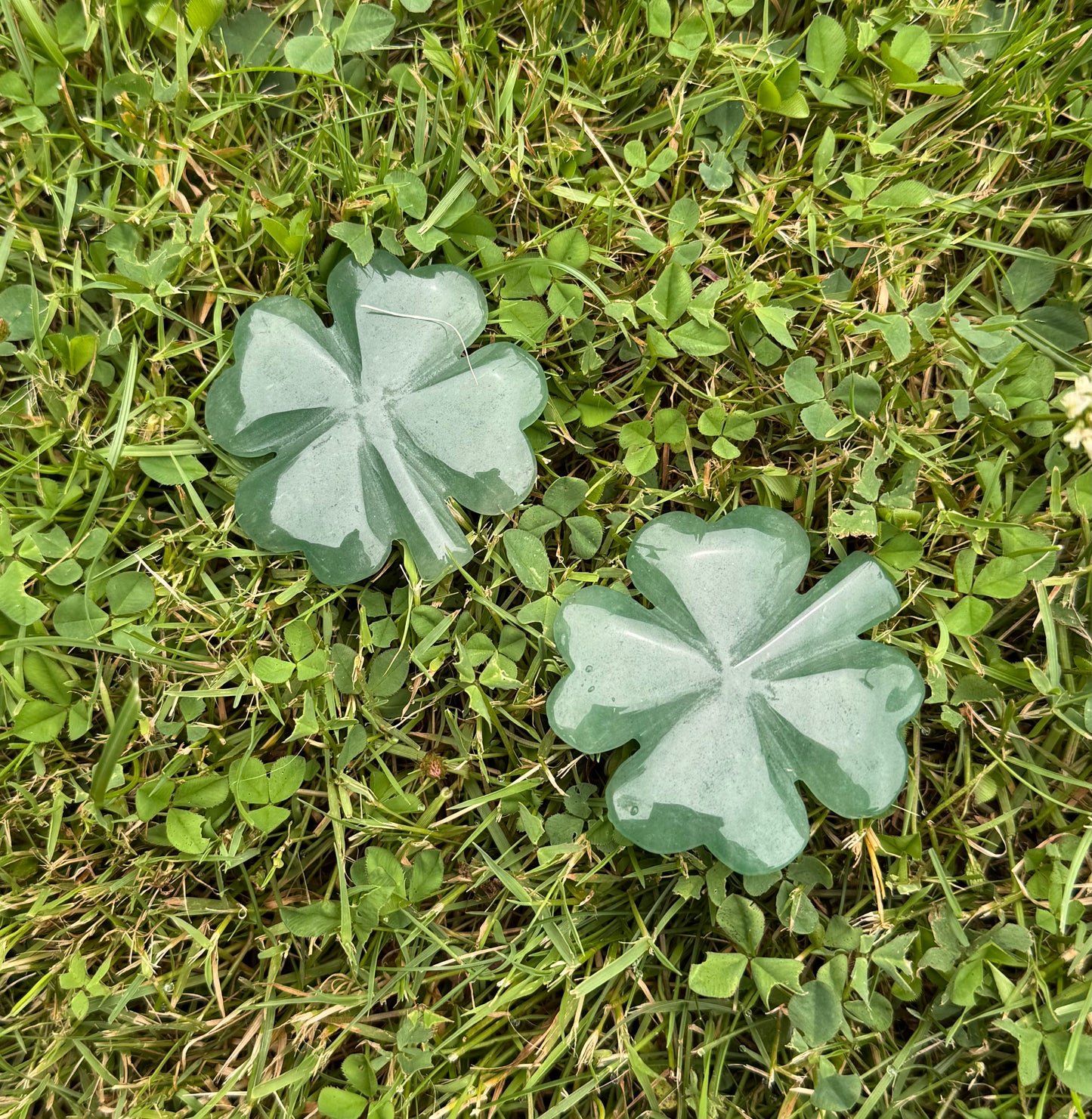 Glücks-Kleeblatt